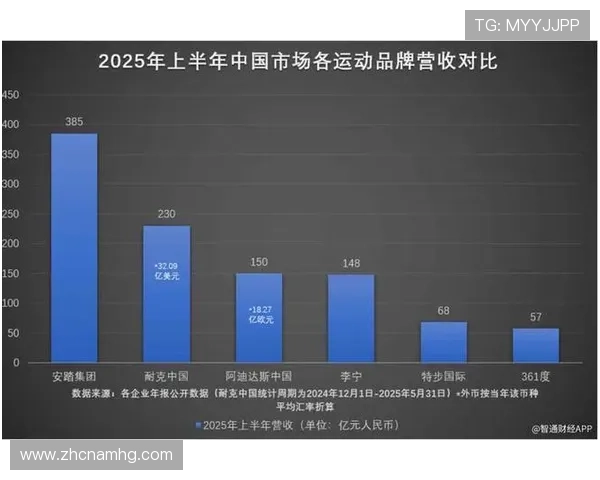 新体育官网引入多语种支持，拓展国际市场满足全球玩家需求