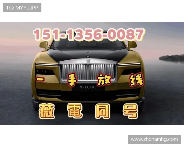 皇冠登录官网网页版官方入口，确保账号安全的最佳选择